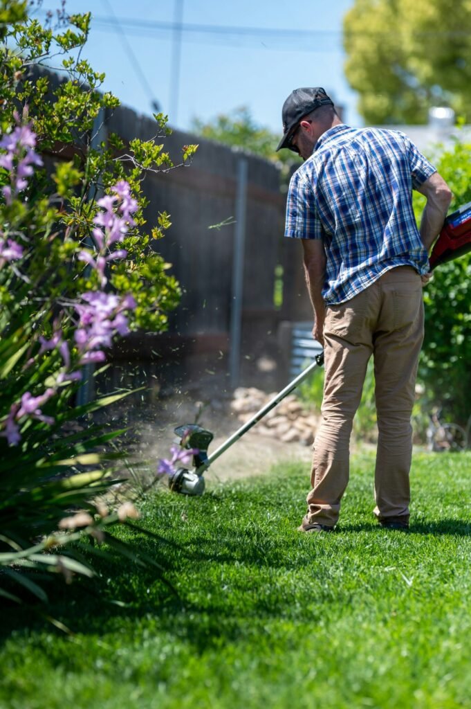 landscaping company Scottsdale AZ professional lawn service