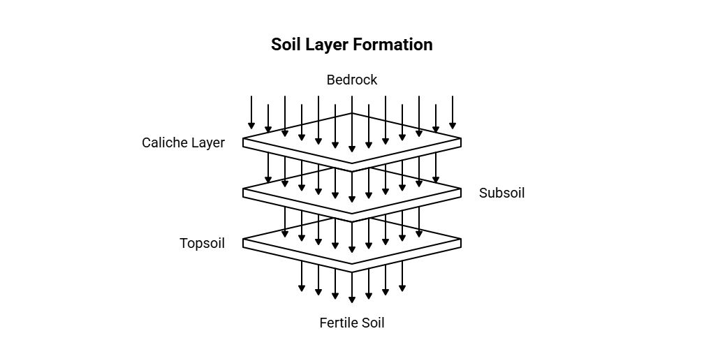 Cross-section of a Scottsdale yard showing soil layers